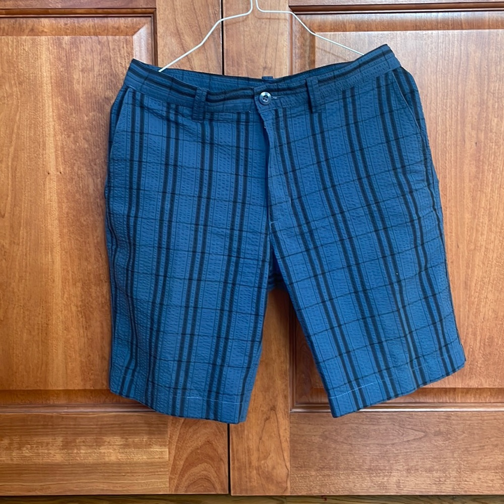 Blue Patagonia shorts